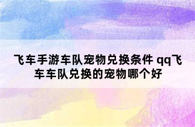 飞车手游车队宠物兑换条件 qq飞车车队兑换的宠物哪个好